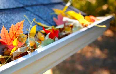 Gutter Cleaning